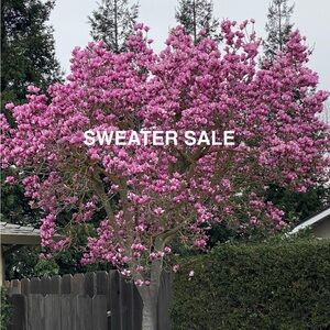 COPY - Meet your Posher, Debra